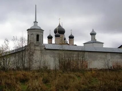 Где зеленец