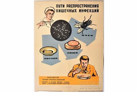 Распространение кишечных инфекций