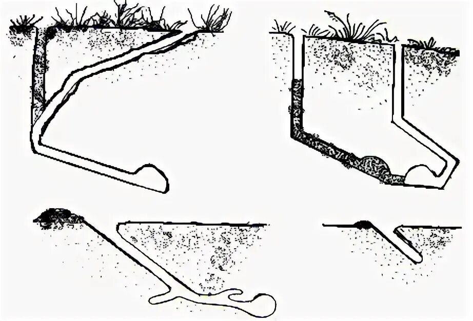 Суслик схема. Норы сусликов схема. Глубина Норы суслика. Схема Норы мыши полевки.