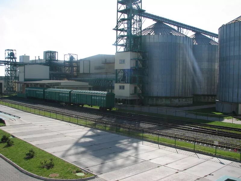 переработка хранение сои. соя зерно. завод по переработке сои. производство растительного масла. завод по переработке сои.