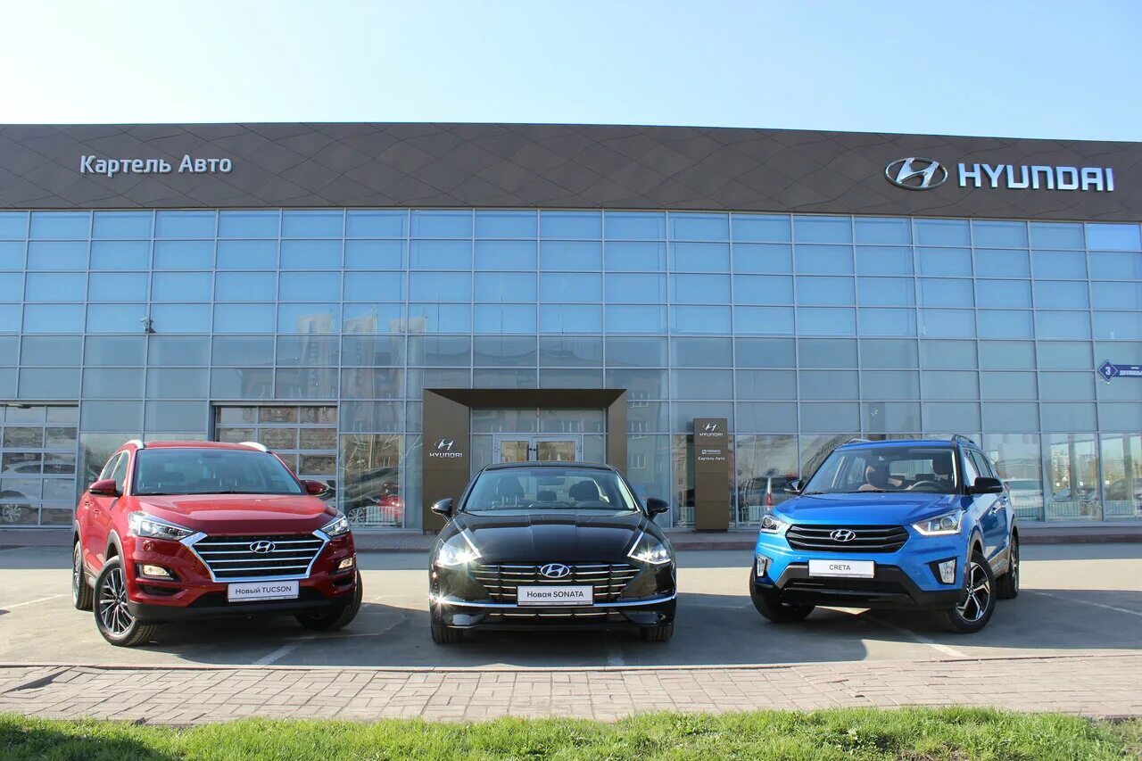 Картель авто отзывы. Картель авто отзывы. Картель авто отзывы. Картель авто кемерово. Картель авто.