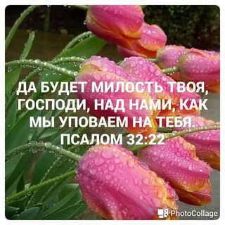 Да ваша милость