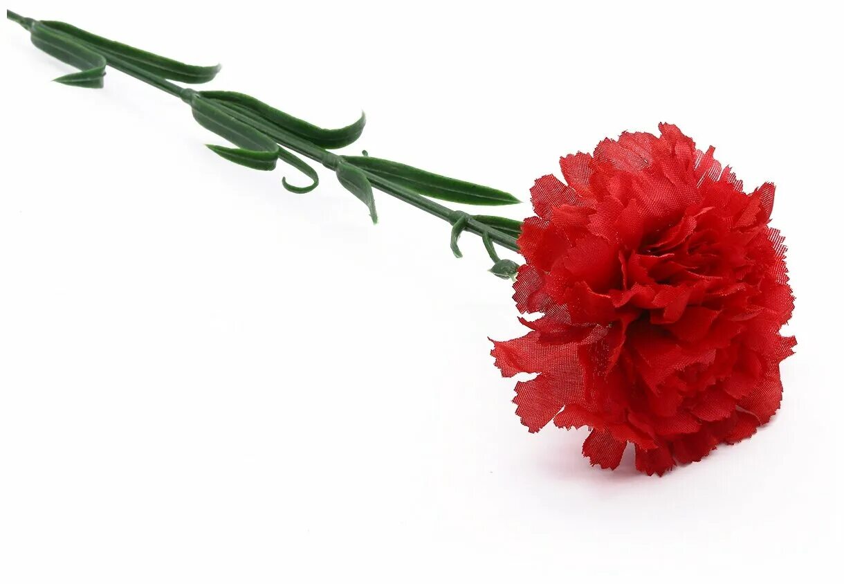 Искусственные цветы гвоздика. Букет гвоздик. Гвоздика цветная carnations cream колумбия. Букет гвоздики на прозрачном фоне. Цветы гвоздика в москве.