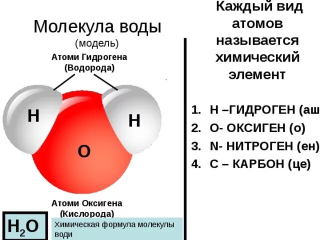 Строение молекулы воды. Модель молекулы воды. Структура молекулы воды. Атом водорода и молекула воды.