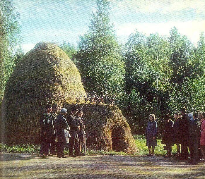 Шалаш Ленина Сестрорецк. Музей шалаш Ленина. Музей шалаш Ленина в разливе. Шалаш Ленина в разливе. Ленин живет в шалаше