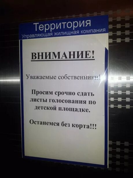 Срочно сдать. Просьба срочно сдать деньги. Объявления голосуйте за детскую площадку. Срочно прошу.