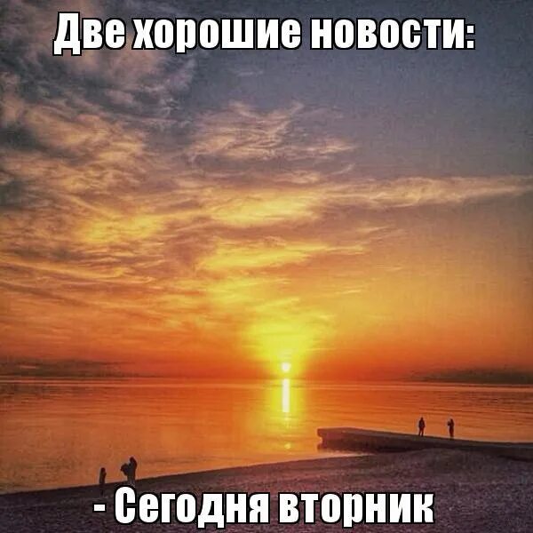 Котики среда. Прикольные совы. Хорош уже фото. Прикольная подпись открытки. Кот.