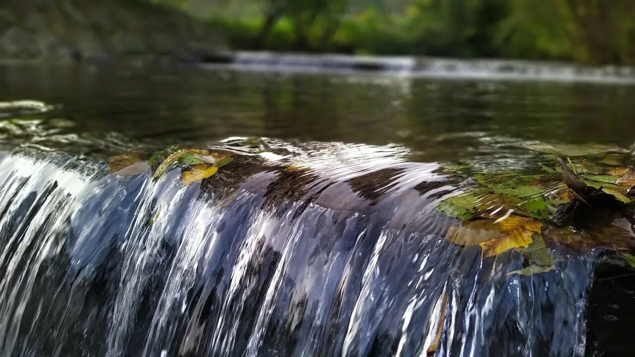 Шум воды ручья. Журчание воды. Звук ручья. Шум воды. Журчание воды звук.