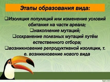 Обитания двух популяций обыкновенного окуня способ видообразования