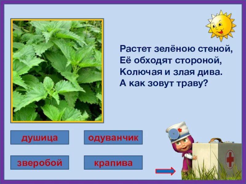 Лесная аптека 2 класс окружающий мир. Лесная аптека презентация. Лесная аптека презентация. Презентация лесная аптека. Лесная аптека 2 класс окружающий мир презентация.