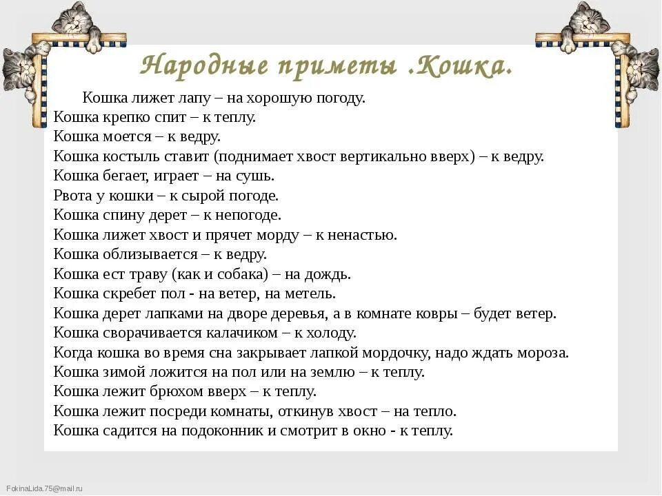 Примеры примет в россии. Народные приметы. Интересные приметы. Народные приметы если. Приметы связанные с кошками.