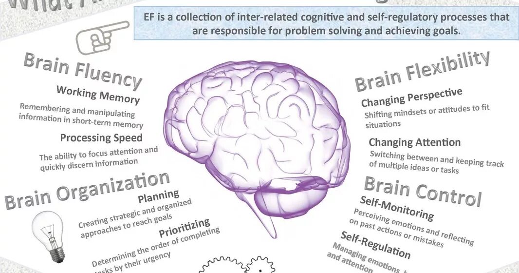 Brain tasks. Executive functioning. ADHD 6 Executive functions. Cognitive tasks. Cognitive skills.