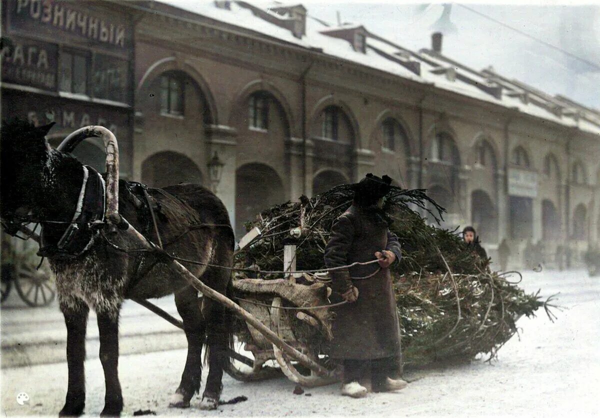 Транспорт никольского. Рождественская ель 1917 в Михайловском артиллерийском училище. Елочный базар Россия 19 век. Елочный базар Петербург 19 век.