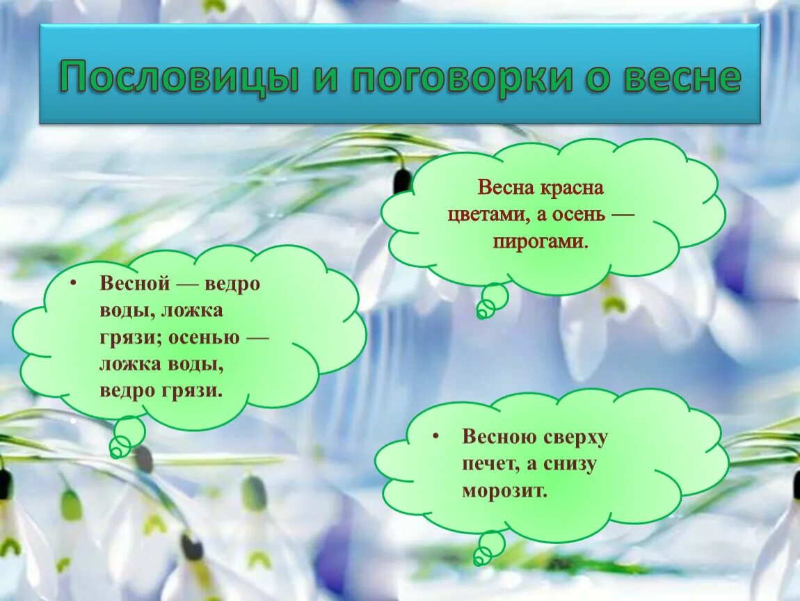 Весенние поговорки. Пословицы и поговорки о весне. Пословицы и поговорки о ве не. Пословицы ипоговооркио весне. Весенние пословицы и поговорки.