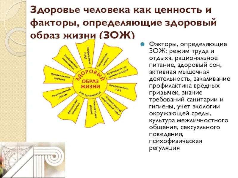 Факторы определяющие здоровье человека как ценность. Факторы определяющие здоровье человека как ценность. Факторы определяющие здоровье человека как ценность. Здоровье человека и факторы его определяющие. Факторы определяющие здоровье человека как ценность.