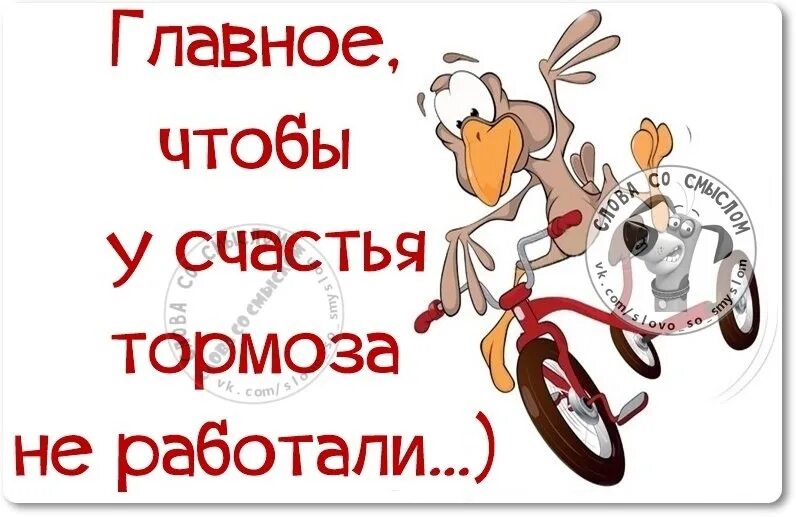 Главное изображение. Главное чтобы у счастья тормоза не работали. Тормоз картинки прикольные смешные. Тормоз прикол. Смешные фразы про тормоза.