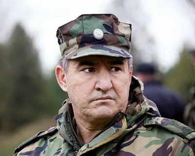 Директор группы альфа