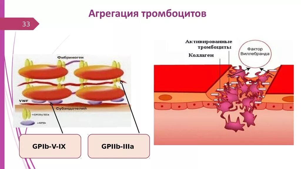 Коллаген агрегация