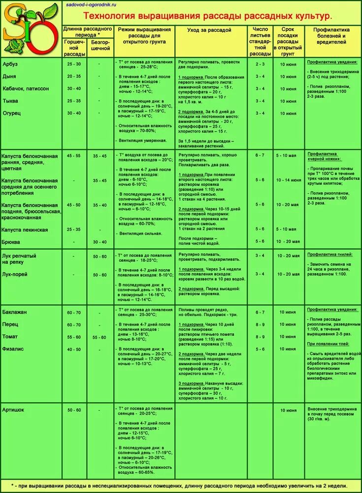 Таблица рассады овощей для высадки в грунт. Возраст рассады овощей для высадки в грунт. Технологическая карта возделывания томатов в теплице таблица. Таблица сроков высадки рассады овощей. График подкормки томатов