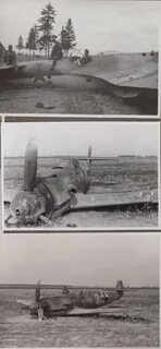 Лето 1941 отзывы