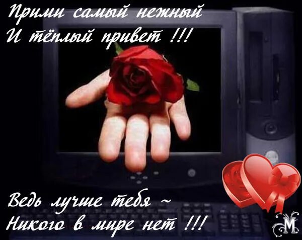 Привет моя пара. Привет моя пара. Всем привет родственники. Привет любимая. Привет любимый.