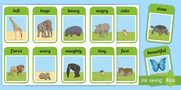 Compare animals. Describing animals прилагательные. Animal adjectives. Degrees of Comparison животные. Adjectives for animals.