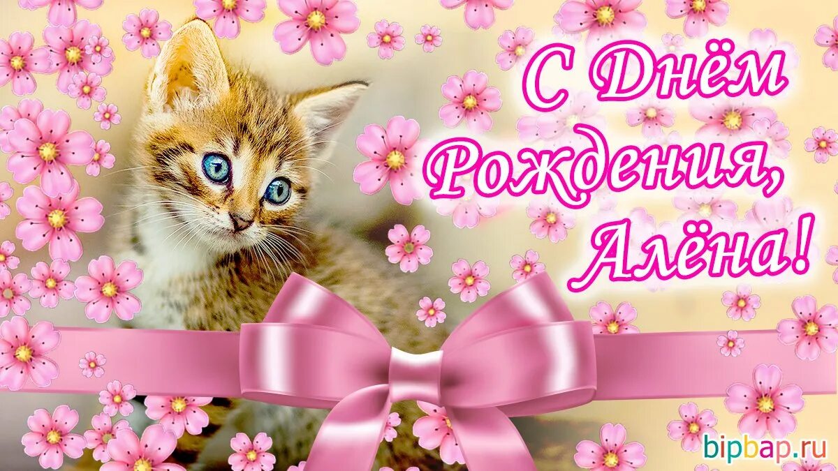 С днем рождения алена поздравления своими словами. Поздравления с днём рождения Алёне. Красивые открытки с днем рождения с котиками.