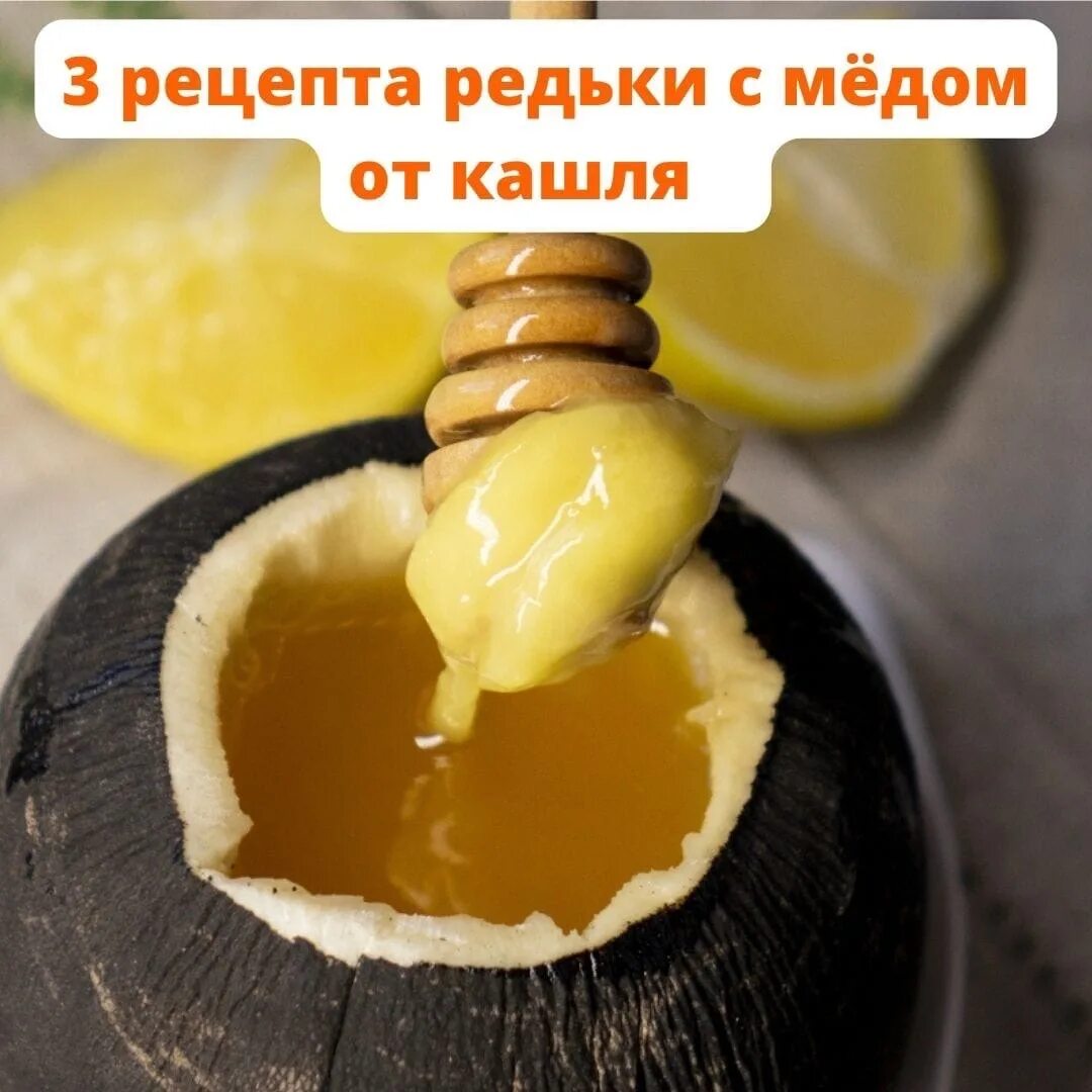 Редька от кашля ребенку. Редька с медом. редька с мёдом от кашля.
