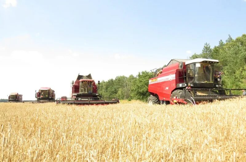 сельское хозяйство.