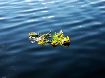 Венок на воде