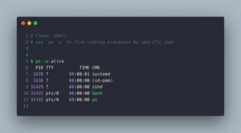 Оболочки ubuntu