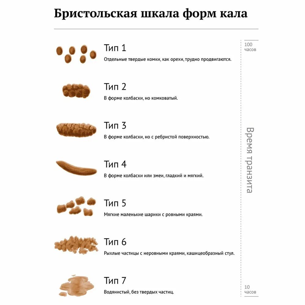 Брист шкала кала. Таблица кала Бристольская. Бристольская шкала кала Тип 1. Бристольская шкала кала норма. Почему твердый кал у взрослого