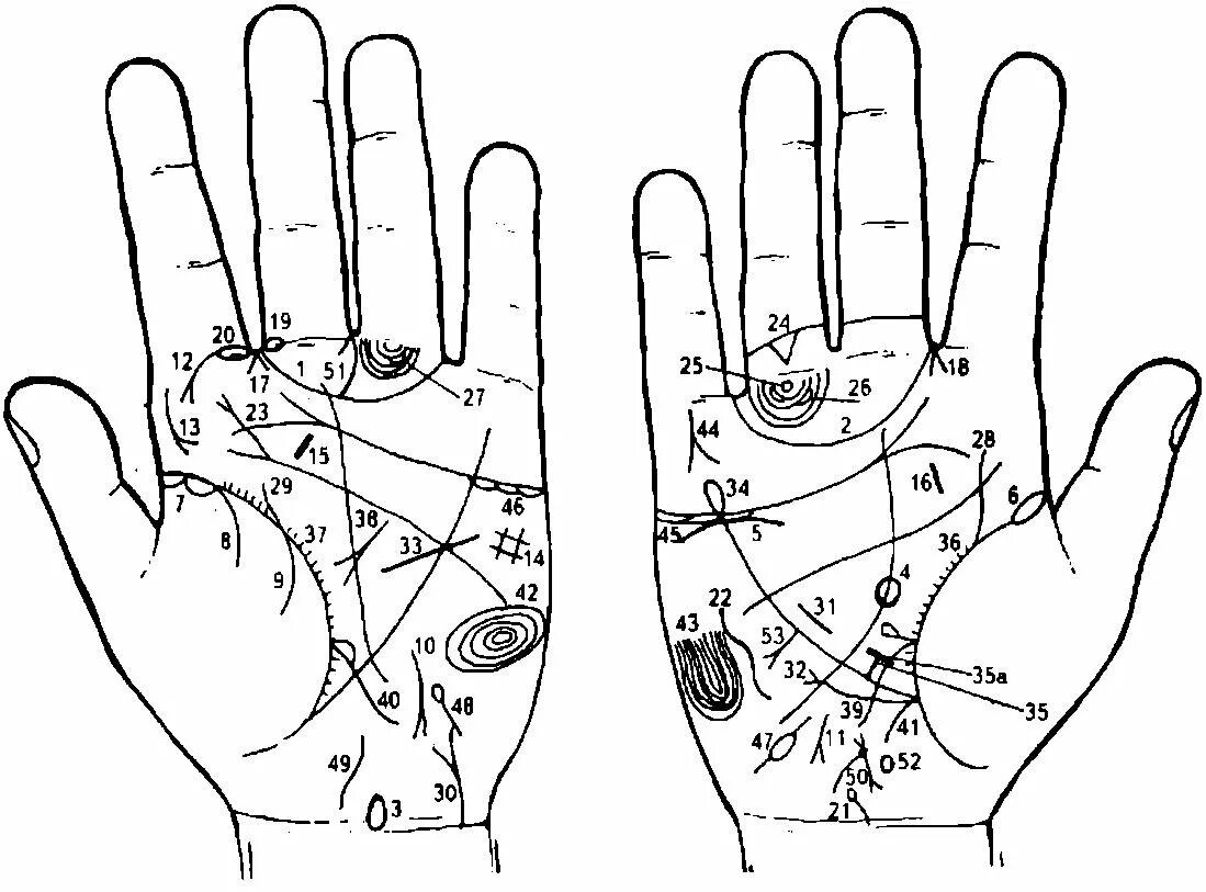 Левая ладонь хиромантия. Хиромантия линии. Линии на ладони. Схема линий для хиромантии. Ладонь с линиями по хиромантии.
