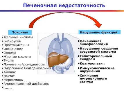 Синдромы недостаточности печени