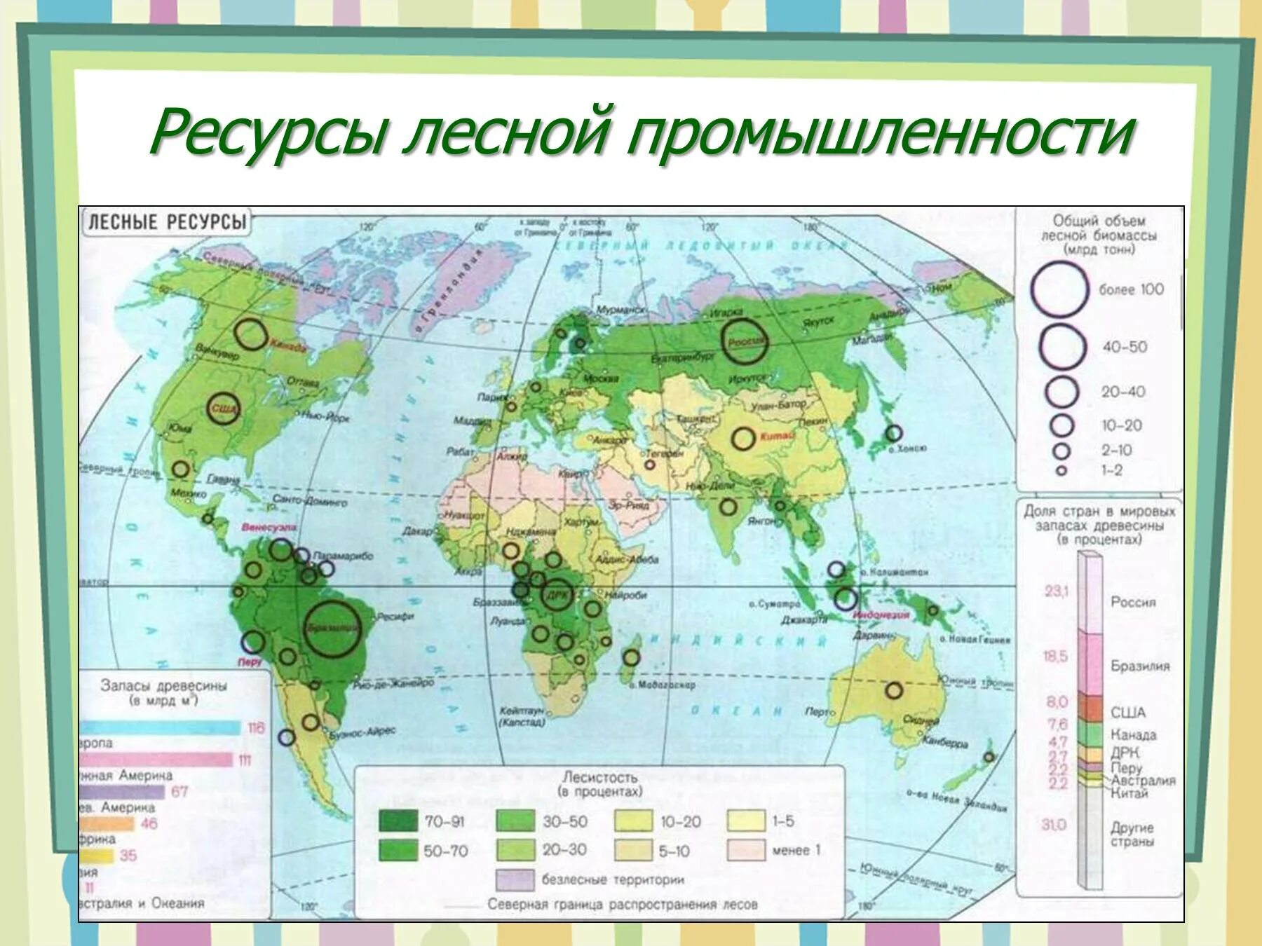 Регионы россии богатые лесными ресурсами