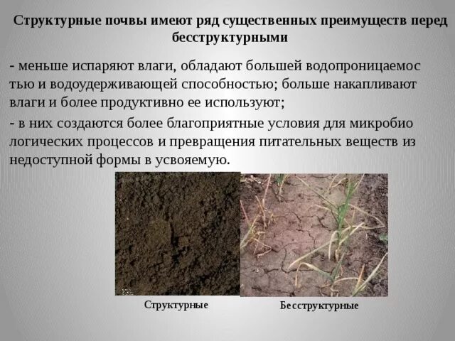 Плитчатая структура почвы. Структура почвы структурная бесструктурная. Структурное состояние почвы. Бесструктурная почва.