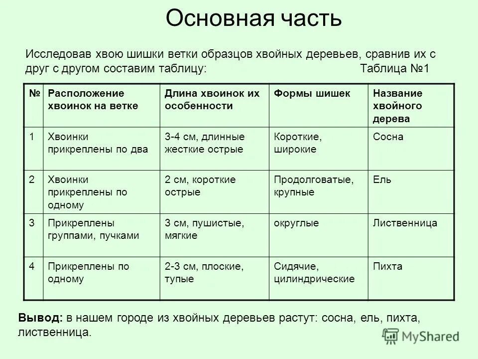 Отдел голосеменные таблица. Биоиндикация сосновые хвоинки. Хвоя сосны таблица. Хвоя сосны таблица. Размер форма чешуек плотность шишки сосны.