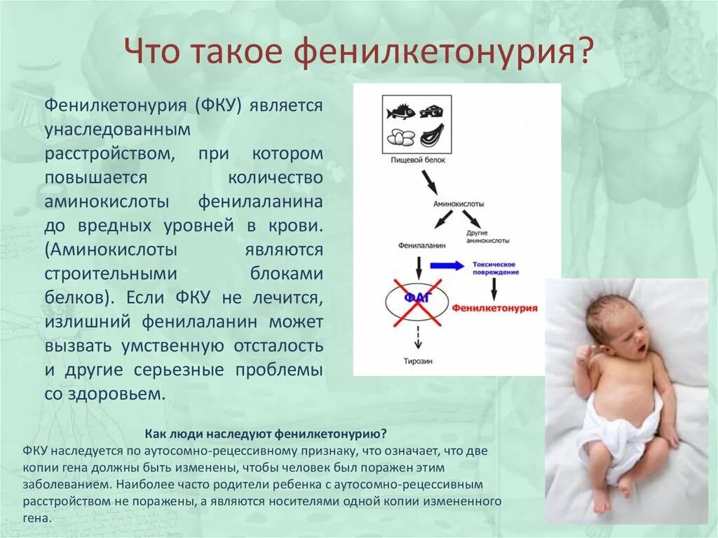 Фенилкетонурия генотип. Фенилкетонурия генная мутация. Фенилкетонурия задачи. Фенилкетонурия у новорожденных детей.