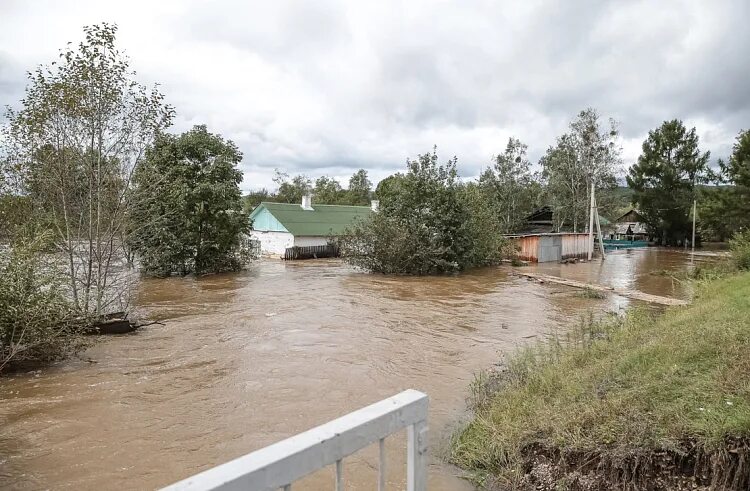 Погода вострецово приморского края. Вострецово Приморский край. Вострецово Приморский край Красноармейский. Село Вострецово Красноармейский район. Наводнение в Вострецово Приморский край.