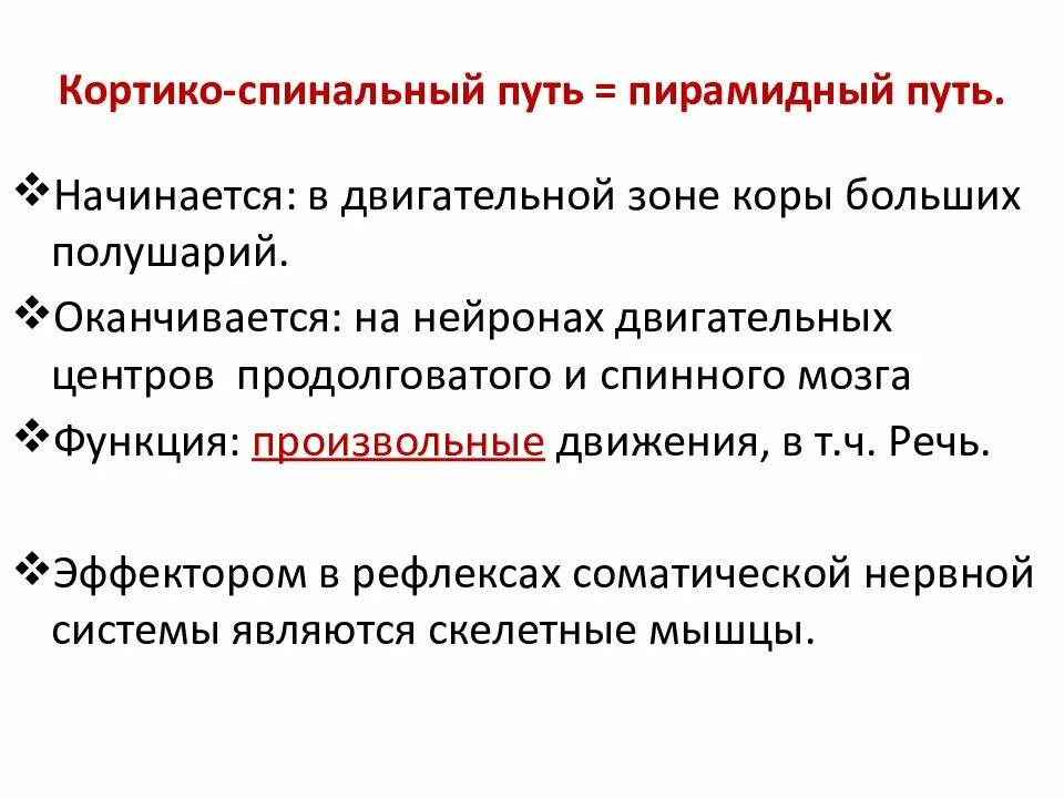Двигательный путь функции. Кортико спинальный путь функции. пирамидный путь функции. кортико спинномозговой путь. пирамидная система функции.