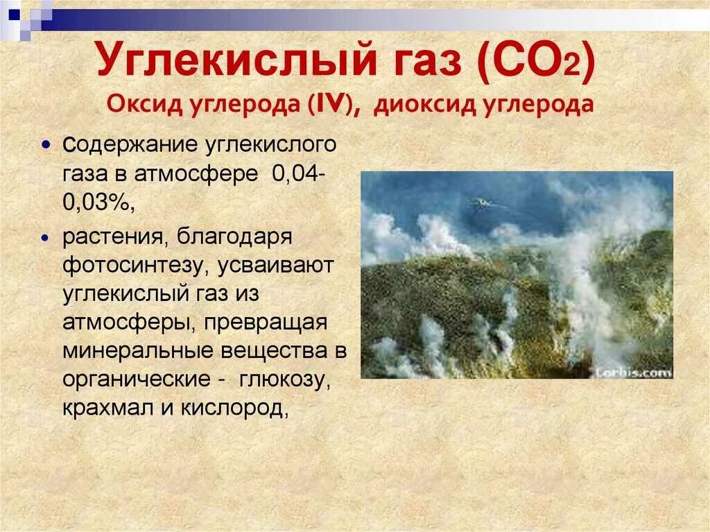 Газы co и co2