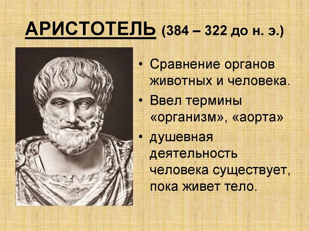 Аристотель 384-322 до н.э. Аристотель (384 – 322 г.г. до н. э.). Великий философ древней Греции Аристотель. Древнегреческий ученый Аристотель.