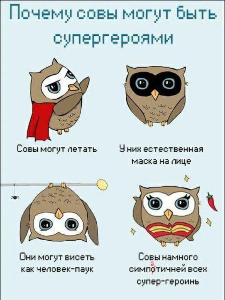 Как переводится сов. Шутки про сову. анекдот про сову. прикольные совы. прикольные совы с надписями.