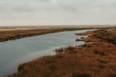На сколько прибыла вода в реке ишим