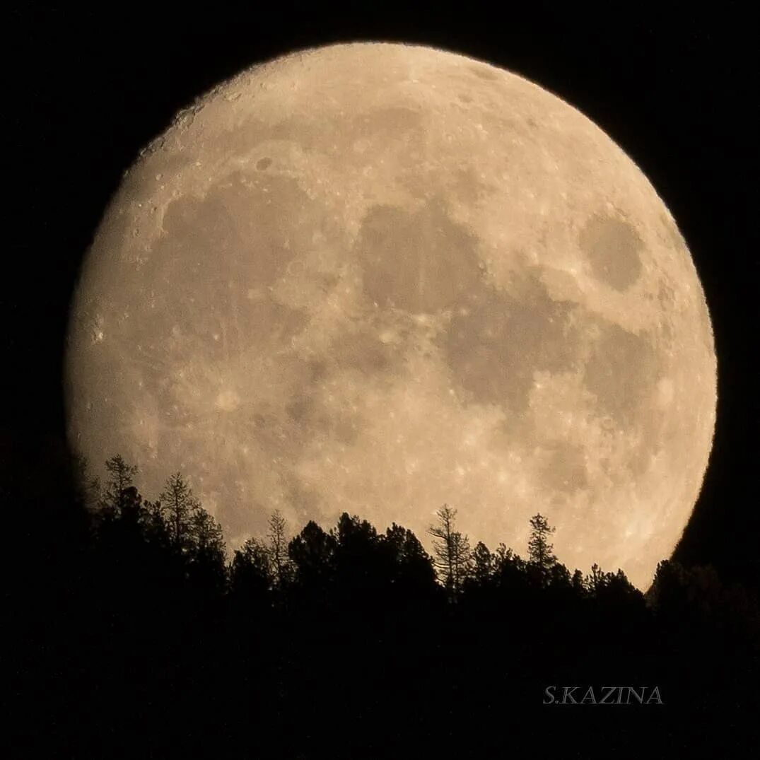 Луна царского. Белая Луна. Луна в 2010 году. Восходящая Луна.