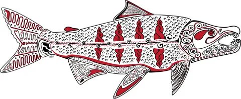 This is a fish