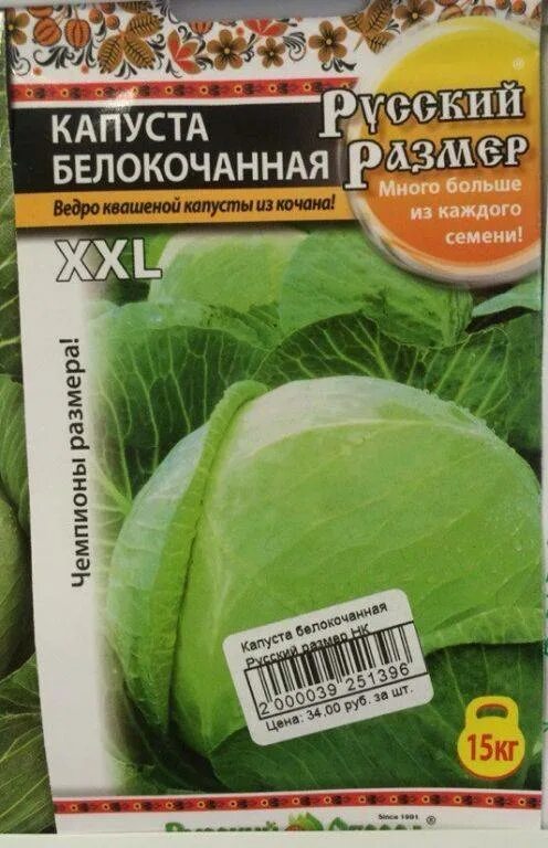 Капуста белокочанная русский размер. Капуста пекинская русский размер нк. Капуста белокочанная русский размер. Сорт капусты русский размер. Сорт капусты русский размер.