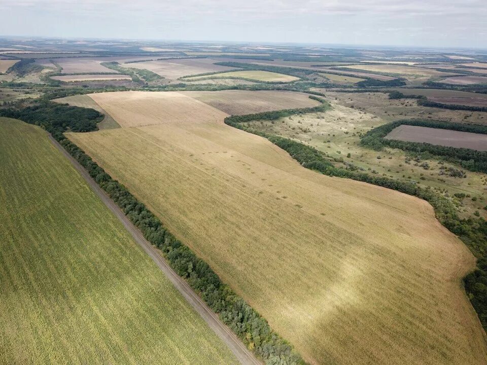 Техника в поле. Крымск ск "гигант". Столб в поле. Сад гигант славянск на кубани. Спортивный комплекс гигант крымск.