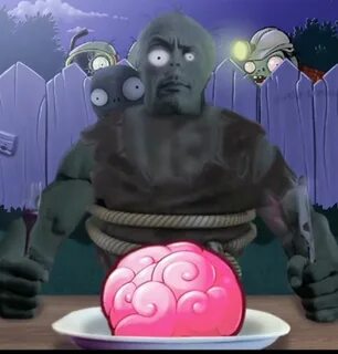 Pvz memes