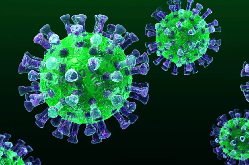 L virus
